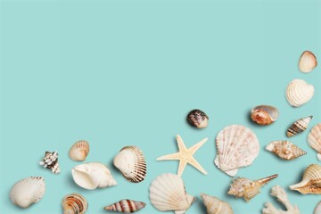 Summer time concept composition with beautiful starfish and sea shells on colored table