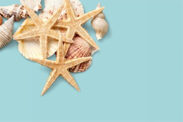 Summer time concept composition with beautiful starfish and sea shells on colored table
