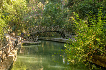 Fototapeta na wymiar The Rodini park in Rhodes island, Greece, Europe.