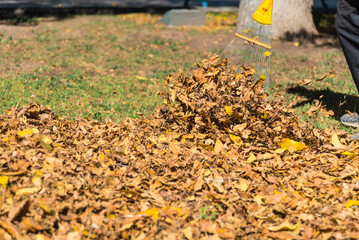 person sweeping fallen leaves from a square in autumn