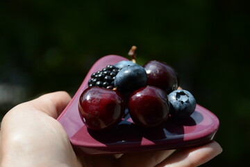 Cherries, blueberries and blackberries on a purple plate in hand
