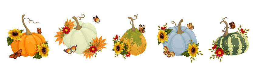 Collection of colorful ripe pumpkins, zucchini with sunflower flowers and butterflies. Cartoon vector graphics.