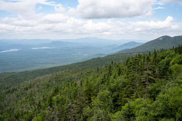 Fototapeta na wymiar Forest on top of the Whiteface mountain
