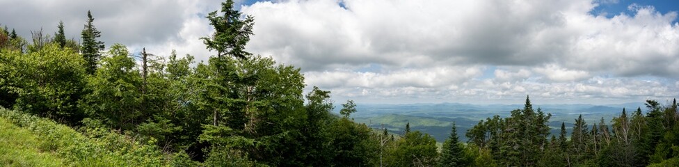 Panoramic view of the forest taken from the summit of Whiteface in the Adirondacks mountains