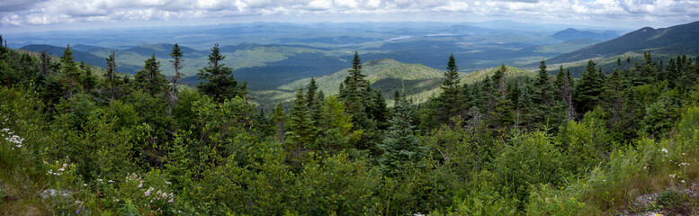 Obraz premium Panoramic view of the forest taken from the summit of Whiteface in the Adirondacks mountains 