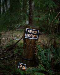 Private property sign in a dark forest