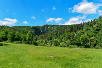 Fototapeta na wymiar Naturpark Obere Donau bei Fridingen an der Donau