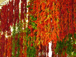 Dried pepper varieties hanging in Muğla Hinge market