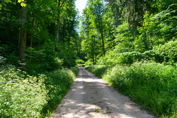 Wandern im Donautal bei Fridingen an der Donau, Baden-Württemberg 