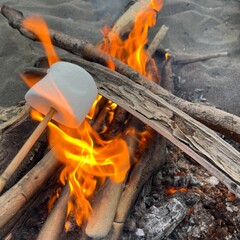 Roasting white marshmallow food over beach campfire orange flames outdoors