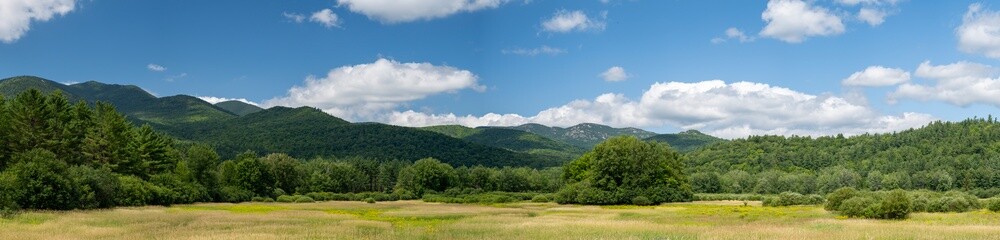 Panoramic view of a forest in the Adirondack Mountains in summer