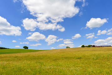 Obraz premium Nusplingen im Zollernalbkreis in Baden-Württemberg