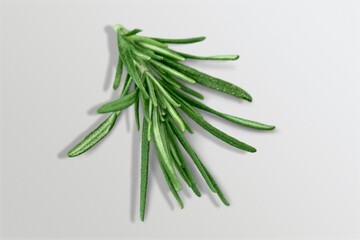 Fototapeta premium Rosemary twig set. Green herbs on the desk