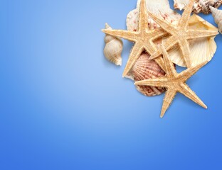 Summer time concept composition with beautiful starfish and sea shells on colored table