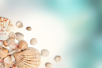 Summer time concept composition with beautiful starfish and sea shells on colored table