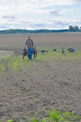 A waterfowl hunter retrieving geese