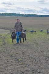 A waterfowl hunter retrieving Canada geese 