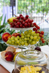 glass fruit basket, Picninc outside. out of focus vegetation in the background.