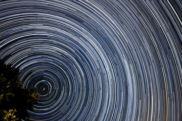 Night sky background, sweeping curves of white and blue against a dark background. Star Trails circling the North Star Polaris, Lighted tree in the lower left corner.