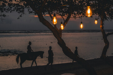 Sunset on the Beach with Horse