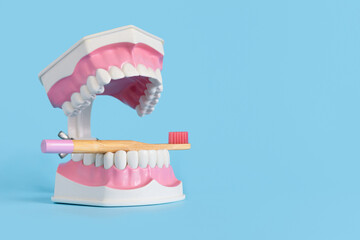 tooth clear in jaw with pink bamboo toothbrush in blue background. health education, professional oral hygiene. teeth cleaning. caries prevention. dental care. copy space; text