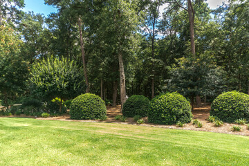 a large backyard of a home with shrubbery and a garden and trees