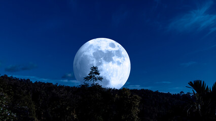 Fototapeta na wymiar Moonrise in blue night