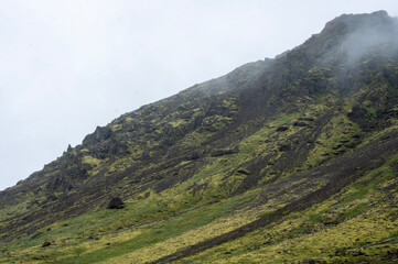 Naklejka premium landscape in summer