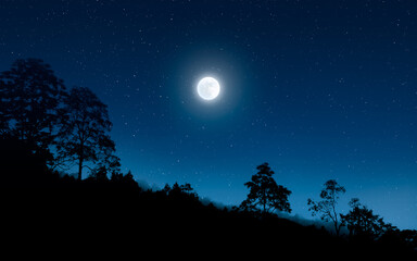 Fototapeta na wymiar Dark night in forest with full moon
