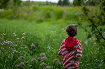 little child in the field