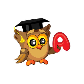 Cute owl in graduation hat and with letter A on white background