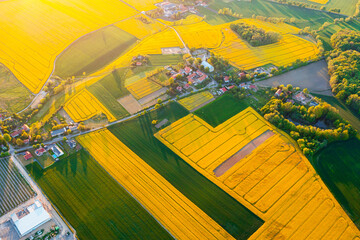 Fototapeta premium View from a height of green fields and trees, summer nature