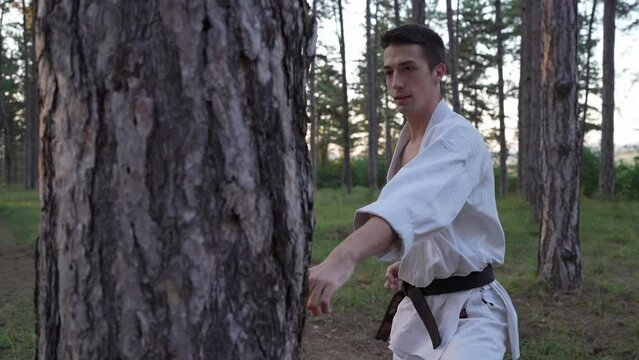 One man male karateka caucasian adult young martial artist training striking in the woods hitting tree in nature real people martial arts karate concept