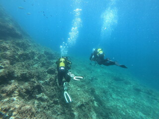 scuba diver in the island - 520910840