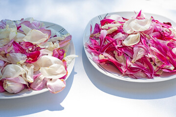 plates with pink and white petals of peonies and roses.