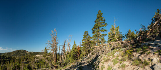 Mountain Hiking Trail in Sierra Nevadas - 520911845