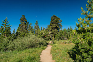 Walking Trail through Sierra Nevada Mountains - 520911846