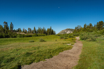 Hiking Trail in Mountain Meadow of California