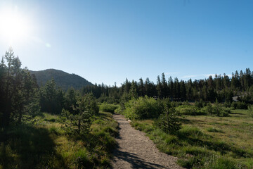 Walking path through the Sierra Nevada mountain range wilderness in Northern California. - 520911854