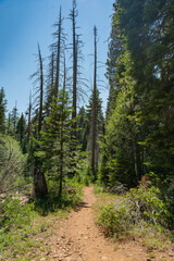 Rocky Hiking Trail in Northern California Mountains - 520911855