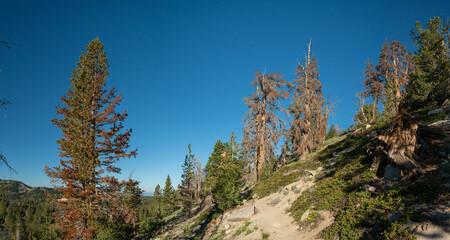 Hiking Trail in Sierra Nevada Mountains - 520911865