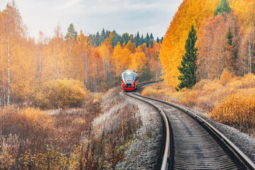 Passenger train moves at autumn morning.