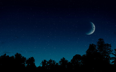 Fototapeta na wymiar starry sky with the moon and silhouette of the jungle