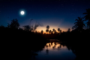 starry sky with the moonlight and the jungle with the shadow of the trees