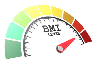 BMI level measuring scale with color indicator