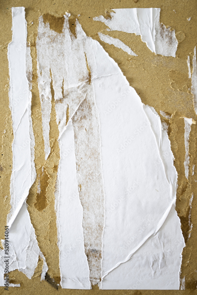 Aufkleber Blank white torn paper with glued ripped sides. Abstract poster mockups template design for copy space and text. Matted wet paper wrinkled for background and texture.