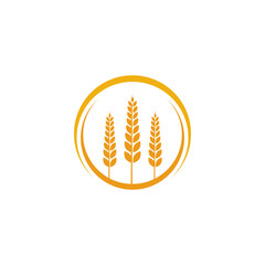Agriculture wheat Logo Template vector icon