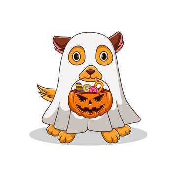 Cute halloween costumes dog holds pumpkin bag full candy