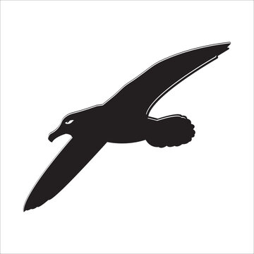recommend clip art: Albatross vector design modern illustration template web