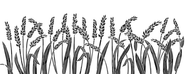 Wheat ear engraved or stamp border background. Cereals ripe spike frame horizontal pattern. Agricultural silhouette press, flour production. Design template farm stencil, organic bread, beer engraving © neliakott